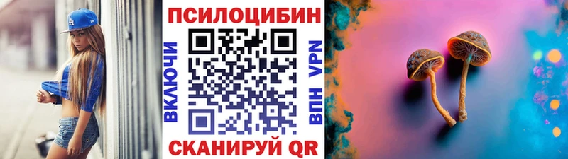 Псилоцибиновые грибы Cubensis  Купить  Выборг 