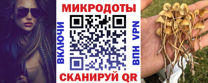 Галлюциногенные грибы GOLDEN TEACHER Выборг